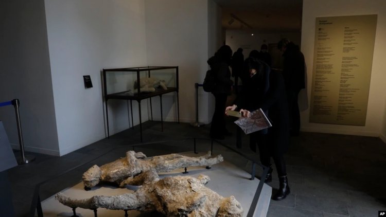 ABD Müzeleri İtalya’dan Kaçırılan 200 Tarihi Eseri İade Etti