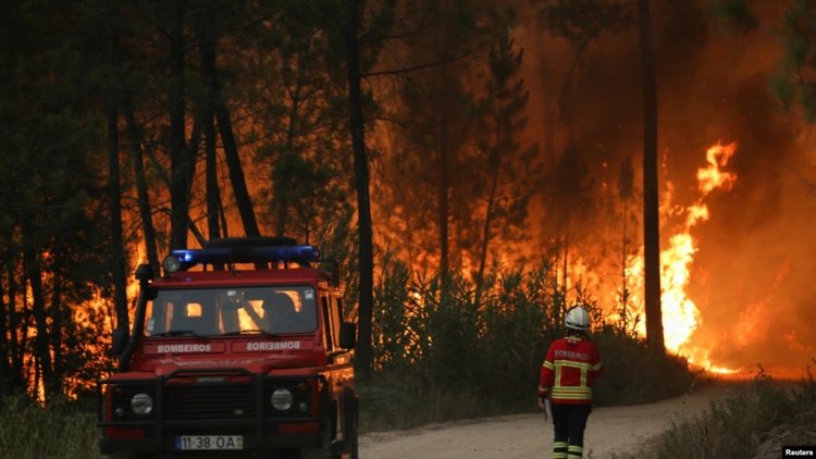Avrupa'nın Güneyinde Yangınlar