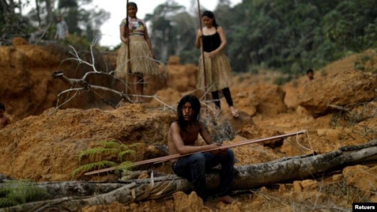 Latin Amerika’da Haftada 3 Çevreci Öldürülüyor