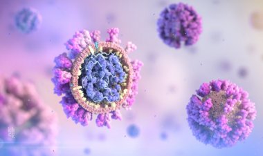 COVID-19'un Kökeniyle İlgili Teoriler Yeniden Tetiklendi