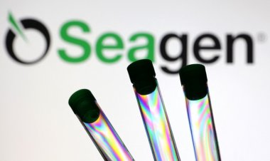 Pfizer Kanser İlacı Üreticisi Seagen'ı 43 Milyar Dolara Alıyor