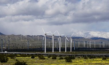 ABD’de Yenilenebilir Enerji Üretimi İlk Kez Kömürü Geçti