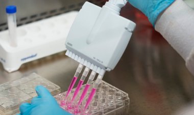 Kanser aşıları yolda