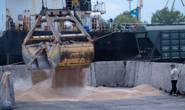 Rus haber ajansı RIA: “Erdoğan-Putin görüşmesi tahıl anlaşmasının uzatılması için tek umut”