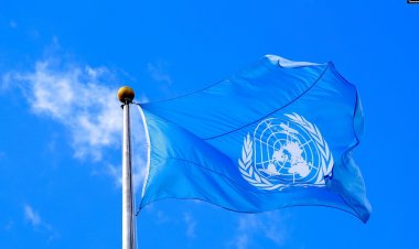 Küresel kamu borcu rekor düzeyde