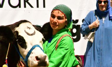 Ekşioğlu Ovit Yayla Şenlikleri 2023