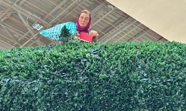 "Rize Artvin Havalimanı: Çay Müzesiyle Yolcuları Ağırlıyor"