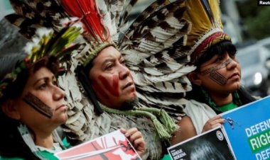 “İklim değişikliğiyle mücadelede Latin Amerika yerlilerinin önemi artıyor”