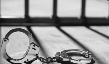 Gazeteciler Cemiyeti: "21 gazeteci cezaevinde"