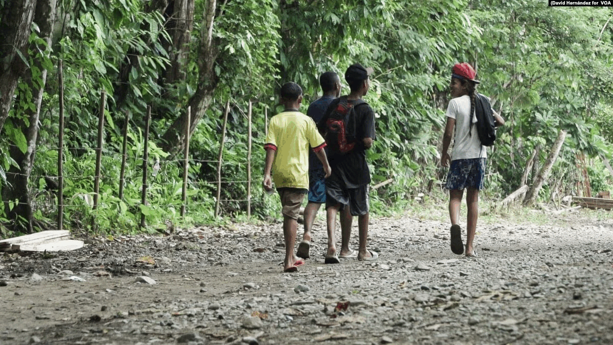 Tehlikeli Darien Ormanı’nı geçen çocuk göçmen sayısı artıyor