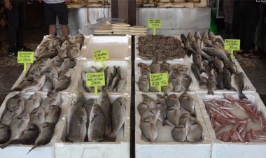 Av yasağı kalktı balıkçıların deniz hasreti sona erdi