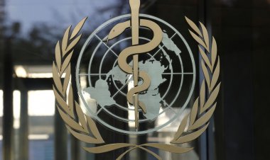 Dünya Sağlık Örgütü'nden Türkiye'de sahte karaciğer ilacı uyarısı