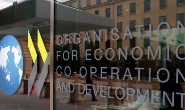 OECD Türkiye’nin büyüme ve enflasyon rakamlarını revize etti