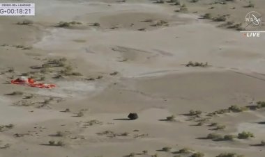 İlk asteroit örnekleri Dünya'ya ulaştı