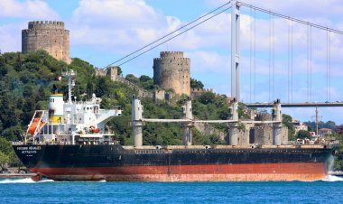 Serbest Ticaret Anlaşması’nın onaylanması Ukrayna ve Türkiye arasındaki ticareti nasıl etkiler?