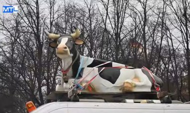 Almanyada grev dalgası