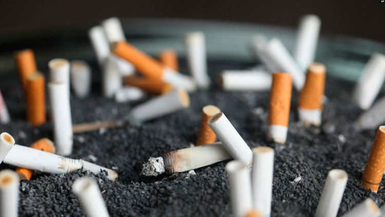 “Dünyada tütün kullanımı giderek azalıyor”