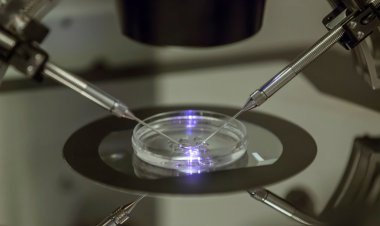 Alabama’da mahkemenin “embriyo çocuktur” kararının ardından bazı klinikler tüp bebek hizmetlerini durdurdu