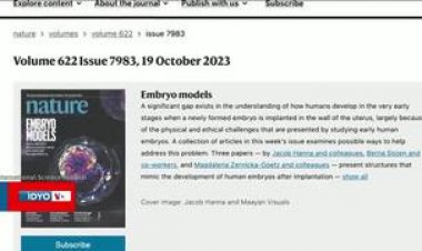 Türk biliminsanı Berna Sözen ve ekibinin çalışması erken gebelik kayıplarını önleyebilir mi?