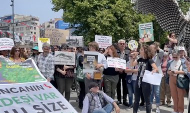 Hayvanları Koruma Kanunu yasa tasarısı Meclis’e gelmeye hazırlanırken üç kentte eylem: “Hayvanları hedef gösteremezsiniz”