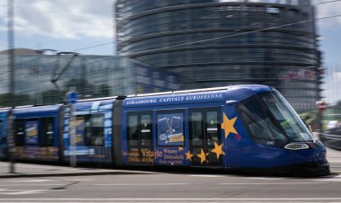 Almanya’da ırkçı AfD yükselişteyken, Türk göçmenlerin kurduğu iki parti de AP seçimlerine katılıyor