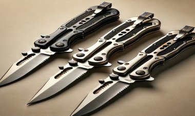 Federal Konsey'den Bıçak Suçlarına Karşı Sert Önlemler