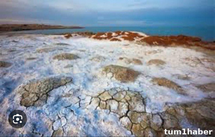 Aral "Kazakistan ve Aral Gölü'nün kurtuluş umudu"
