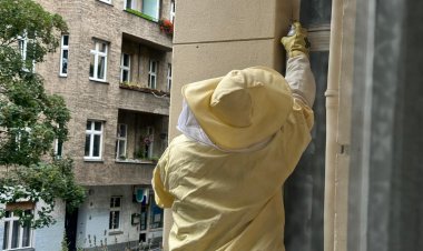 Yabani Arılarla Mücadele Yöntemleri