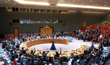 “İsrail’in Filistinliler’e uyguladığı kötü muamele ve işkencelere BM üyesi ülkeler sessiz kalmamalı”