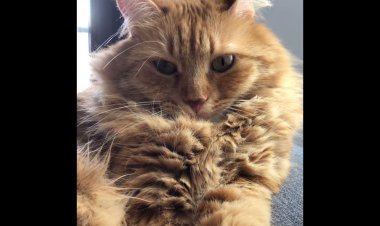 Çocuk Gelişiminde Masalların Gücü