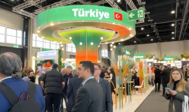 Meyve İhracatında Mısır ve Türkiye’nin Yükselişi