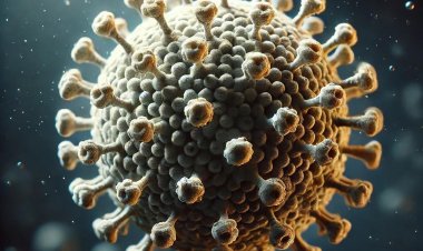 Gölgelerin  Ardındaki  VİRÜS