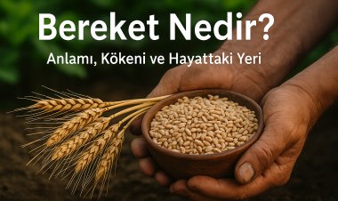 Bereket Nedir? Anlamı, Kökeni ve Hayattaki Yeri