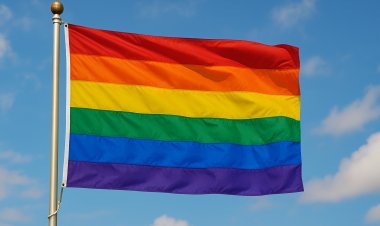 Almanya’da 2024’te 31 Bin Eşcinsel Ailede Toplam 50 Bin Çocuk Yaşıyor