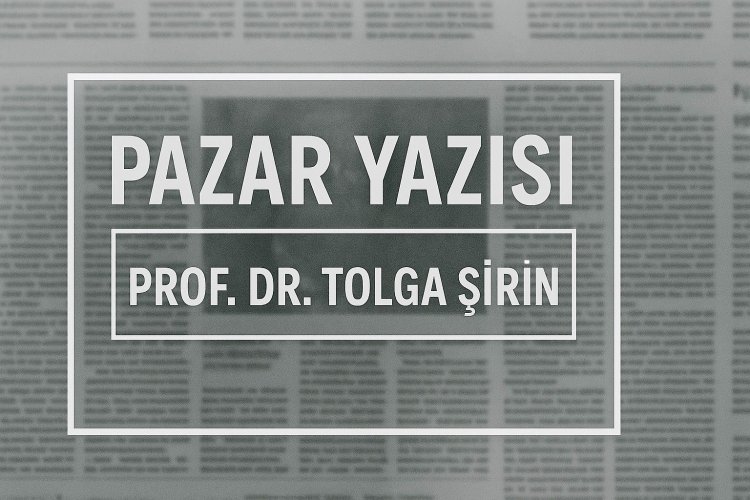 Tolga Şirin, Almanya’daki Yüksek Yargı Gerilimini Yazdı
