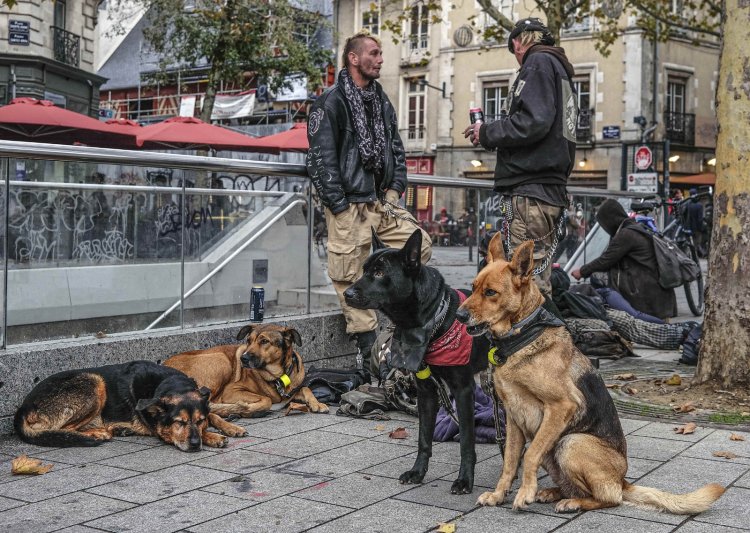 Ali Öz’ün “Fısıltıların İzinde” Sergisi Fransa’da Sanatseverlerle Buluşuyor