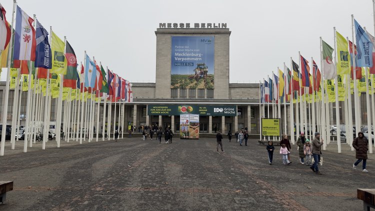 350 bin ziyaretçi 100. yılını kutlayan Grüne Woche’de buluştu