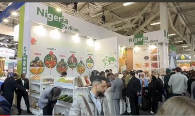 FRUIT LOGISTICA 2026: Drei Tage, die den globalen Fruchthandel bewegen