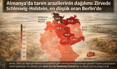 Almanya’da tarım arazilerinin dağılımı: Zirvede Schleswig-Holstein, en düşük oran Berlin’de