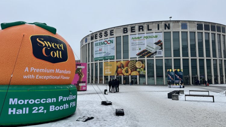 Drei Tage Fruit Logistica: Nachhaltigkeit, Technologie und die Zukunft der globalen Lieferketten