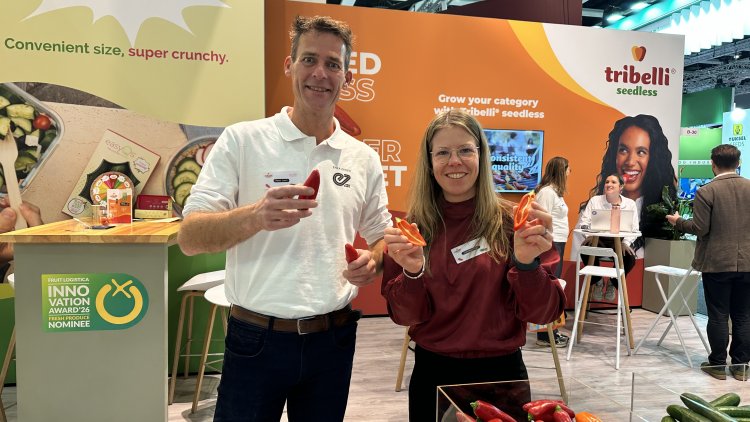 Drei Tage Fruit Logistica: Nachhaltigkeit, Technologie und die Zukunft der globalen Lieferketten