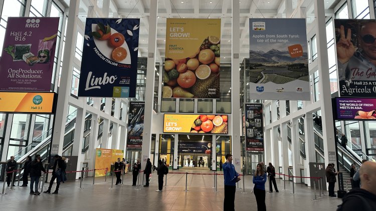 Drei Tage Fruit Logistica: Nachhaltigkeit, Technologie und die Zukunft der globalen Lieferketten