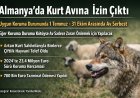 Almanya’da kurt avına yasal düzenleme