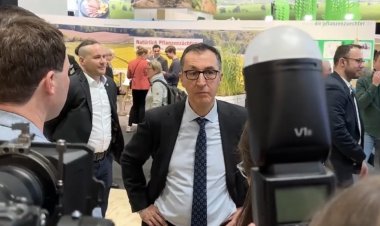 Grüne liegen bei der Landtagswahl in Baden-Württemberg vorn