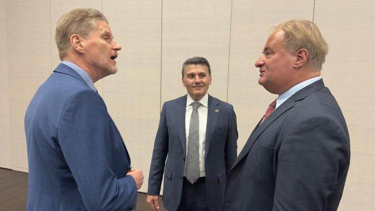 Azerbaycan-Almanya dostluk resepsiyonu Berlin’de düzenlendi