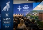 NATO Parlamenterler Vilnius’ta Toplanıyor