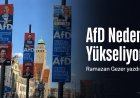 AfD’nin Yükselişine Farklı Bakış: Hesabı Sorulmayan Kararlar